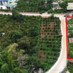 ban-lo-dat-2-mat-tien-1390m2-ta-nung-phuong-cam-ly