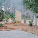 cho-thue-nha-2-phong-van-thanh-da-lat-10-trieu-thang